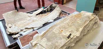 IMAGES. Le deuxième sarcophage en plomb découvert à Arras a été ouvert : voici ce qu’il contenait - Le Pays d'Auge