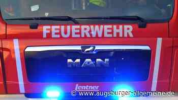 Brennende Äste beschädigen in der Innenstadt ein Auto