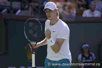 Canadian tennis player Denis Shapovalov promotes animal shelters through social media - Dawson Creek Mirror