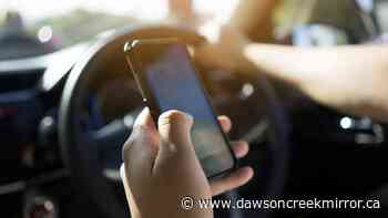 Opinion: British Columbians seeing less distracted driving: poll - Dawson Creek Mirror