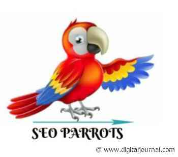 SEO Parrots Becomes The Most Trusted SEO Company In Bangalore - Digital Journal