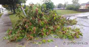 Environment Canada alerting Hamilton, Niagara residents of strong afternoon wind gusts
