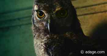 Watch the newest commercials from Samsung, VistaPrint, Behr and more