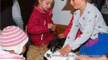 Jettinger Kleintierzüchter: Schlüpfende Küken ziehen zahlreiche Familien an