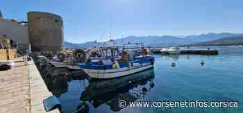 La photo du jour : le port de Calvi et le Monte Grossu - Corse Net Infos