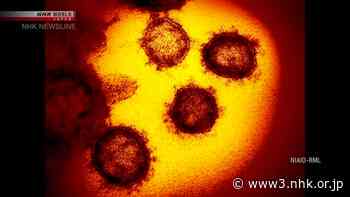 Tokyo reports 5,583 new coronavirus infections on Tuesday - NHK WORLD