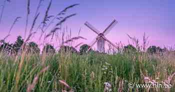 Bezoek op de Vlaamse Molendag de Leyssensmolen in Lommel - Het Laatste Nieuws