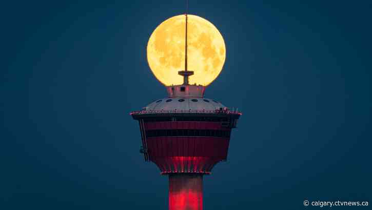 Rain and flurries expected to fall in Calgary