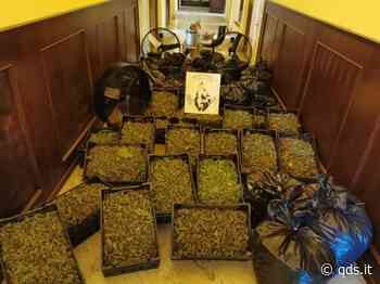 Catania, fiumi di droga nella città crocevia dello spaccio nella Sicilia orientale - Quotidiano di Sicilia