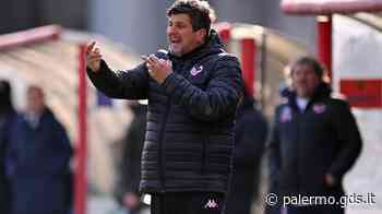 Ecco perché l'esclusione del Catania dal campionato ha penalizzato il Palermo - Giornale di Sicilia