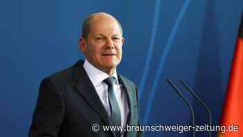 Scholz sagt Ukraine Waffen der deutschen Industrie zu
