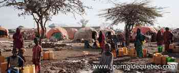 La famine menace 20 millions de personnes