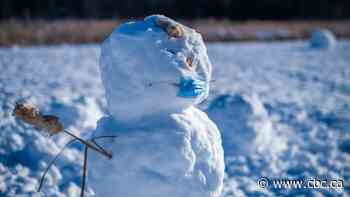 Just what we needed: Spring snowstorm to blast parts of Alberta Tuesday night