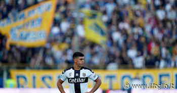 Il Parma non andrà in Serie A. Il perfetto capro espiatorio è Brunetta - Il Foglio