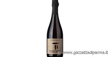 Brut Terzavia 2018: uno spumante piacevole, cremoso e persistente - Gazzetta di Parma