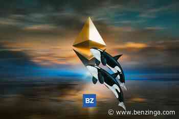 Ethereum Whale Moves 26,633 ETH Off Bitfinex - Benzinga - Benzinga