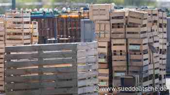 Verbraucher - Darmstadt - Ermittlungen wegen Lebensmittelhygiene in Betrieb - Wirtschaft - Süddeutsche Zeitung - SZ.de