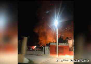 En Sabinas-Hidalgo registra incendio en un pastizal - Telediario CDMX