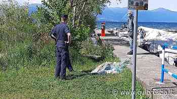 Rete di 400 metri alla deriva nel lago di Garda - QuiBrescia.it