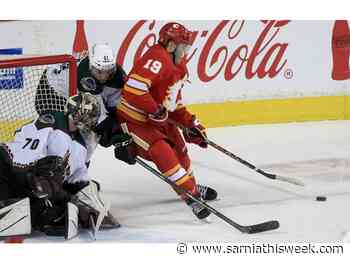 Game Night: Calgary Flames vs Arizona Coyotes | Sarnia & Lambton County This Week - Sarnia and Lambton County This Week