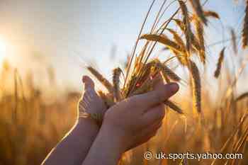 Vicky Allan: Food crisis looms. Do we have to choose between rewilding and eating? - Yahoo Eurosport UK