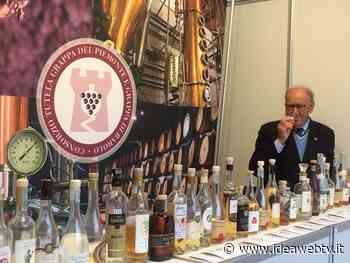 Alba, le grappe del consorzio piemontese sulla piazza di Vinum - IdeaWebTv