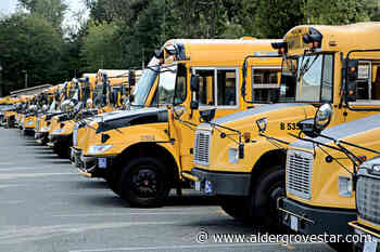 Langley's enrolment spikes again mid-year – Aldergrove Star - Aldergrove Star