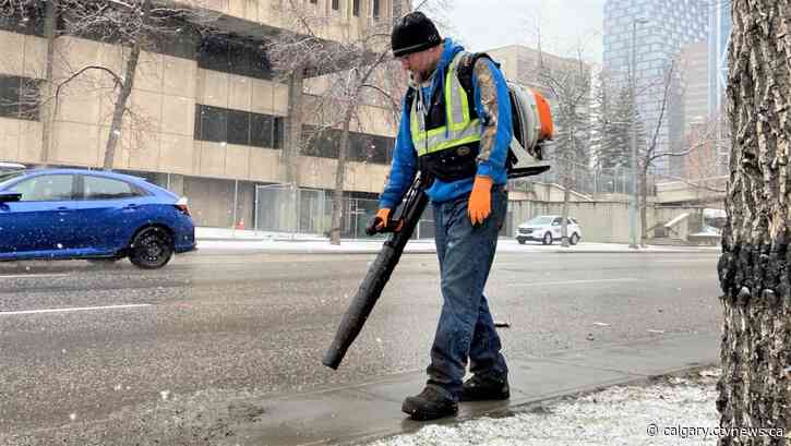 Petition pushes for ban on gas powered leaf blowers in Calgary