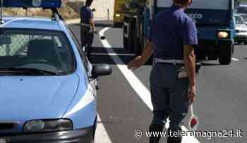 FORLI': Animali stipati sui camion senza acqua e foraggio, multati i conducenti - Teleromagna24