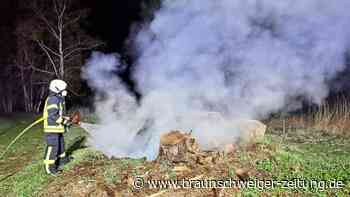 Feuerwehr löscht brennenden Baumstumpf in Vorsfelde ab