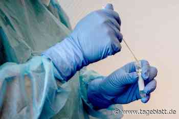 Nach Corona-Lockerungen: Zahl der Testzentren sinkt weiter - Landkreis Stade - Tageblatt-online