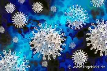 Inzidenz im Kreis Stade sinkt unter 1000 - Meldeverzug über Ostern - Landkreis Stade - Tageblatt-online