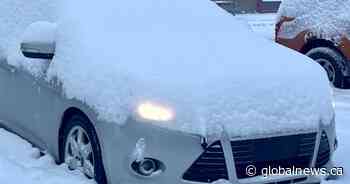 Snowfall warnings in place for parts of western, central Alberta