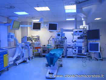 Donazione organi nelle Marche: Apiro e Matelica sul podio dei "generosi" - Cronache Maceratesi