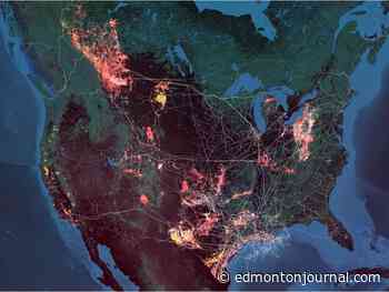 Humanity's impact on the planet for your contemplation at new digital art show Synoptic Translations at Harcourt