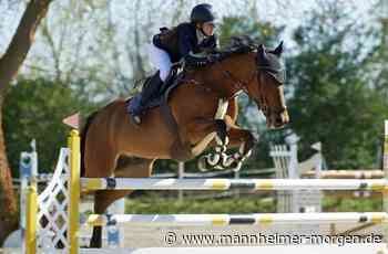 Erfolgreiches Turnier beim Reit- und Fahrverein Lampertheim - Lampertheim - Nachrichten und Informationen - Mannheimer Morgen