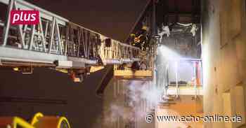 Lampertheim: Menschen und Katzen gerettet - Echo Online