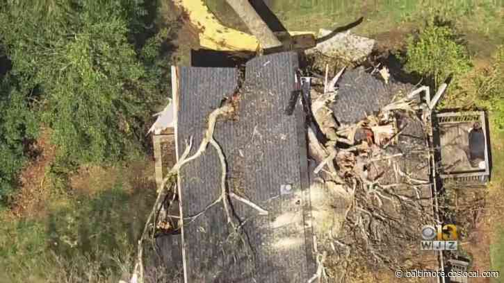 Recent Rain And Wind Have Compromised Maryland’s Trees