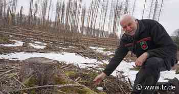 32 Hektar Wald bleiben in Blomberg unberührt | Lokale Nachrichten aus Blomberg - Lippische Landes-Zeitung