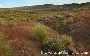 Mining for Clean Energy Could Undermine Biden's Environmental Justice Goals - Scientific American
