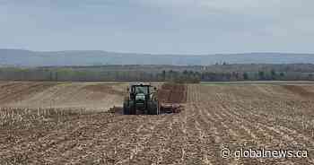 Fertilizer supply shortage and price hike leads to concern for N.B. farmers