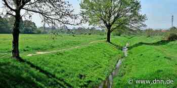 Ideen für den Toeplerpark in Dresden-Tolkewitz gesucht - Dresdner Neueste Nachrichten