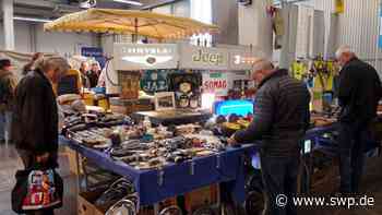 Oldtimer-Treffen in Ulm: Technorama findet endlich wieder statt – Wann es losgeht und was geboten wird - SWP