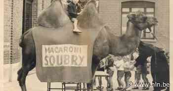 Tentoonstelling 'Van schoolbord tot toetsenbord' belicht geschiedenis dorpsscholen - Het Laatste Nieuws