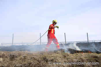 5 Municipalities in Cariboo Fire Centre area get FireSmart grants – Quesnel Cariboo Observer - Quesnel - Cariboo Observer