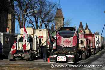 Ottawa convoy protest leader charged with perjury, obstruction of justice - Quesnel - Cariboo Observer