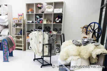 Northern BC business fined $5000 over COVID-19 safety compliance – Quesnel Cariboo Observer - Quesnel - Cariboo Observer