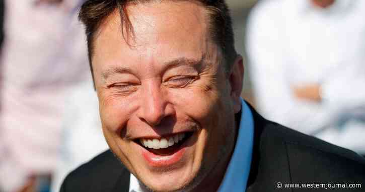 Breaking: Musk Twitter Takeover Officially Underway as New 'Complex' Plan Revealed After Cryptic Tweet