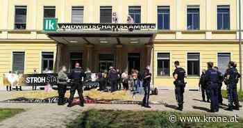 Vorwurf: Misshandlung - Rechtsanwalt der Tierschützer nimmt Stellung - Kronen Zeitung