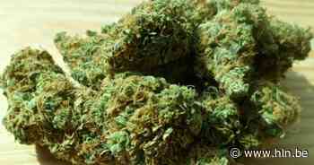 Agenten vinden hasj tijdens politiecontrole | Mechelen | hln.be - Het Laatste Nieuws